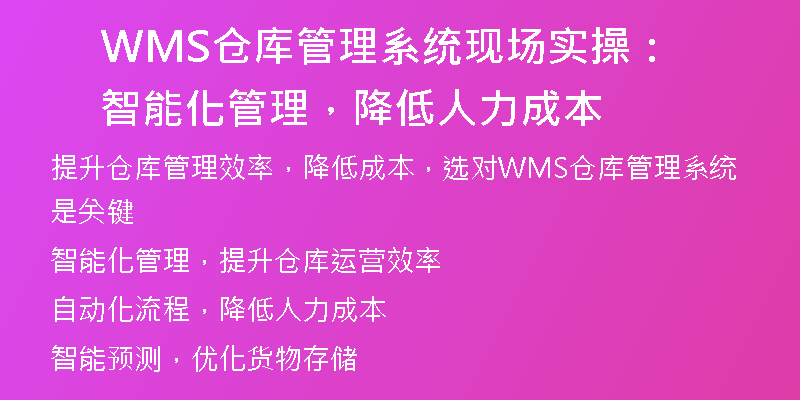 WMS仓库管理系统现场实操：智能化管理，降低人力成本