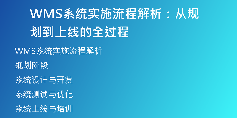 WMS系统实施流程解析：从规划到上线的全过程