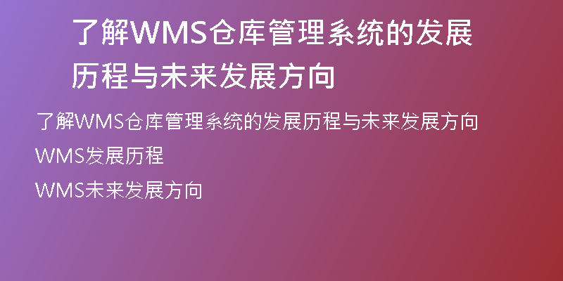 了解WMS仓库管理系统的发展历程与未来发展方向