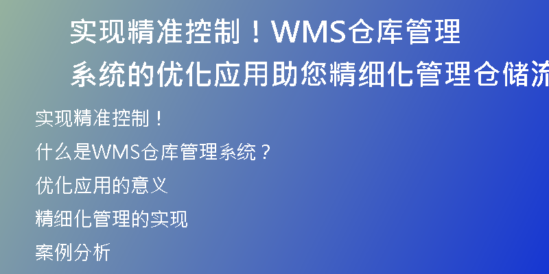 实现精准控制！WMS仓库管理系统的优化应用助您精细化管理仓储流程