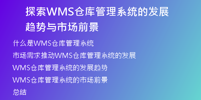 探索WMS仓库管理系统的发展趋势与市场前景