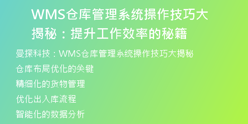 WMS仓库管理系统操作技巧大揭秘：提升工作效率的秘籍